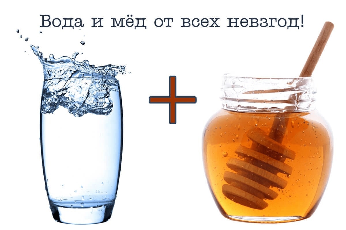 мир волшебных пчёл, Целебная Пасека, putin huilo