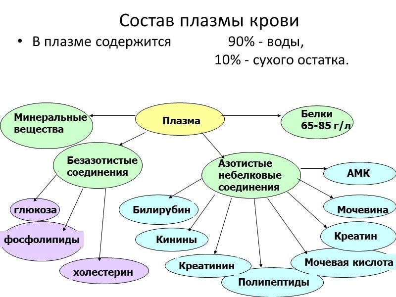 мир волшебных пчёл, Целебная Пасека, putin huilo